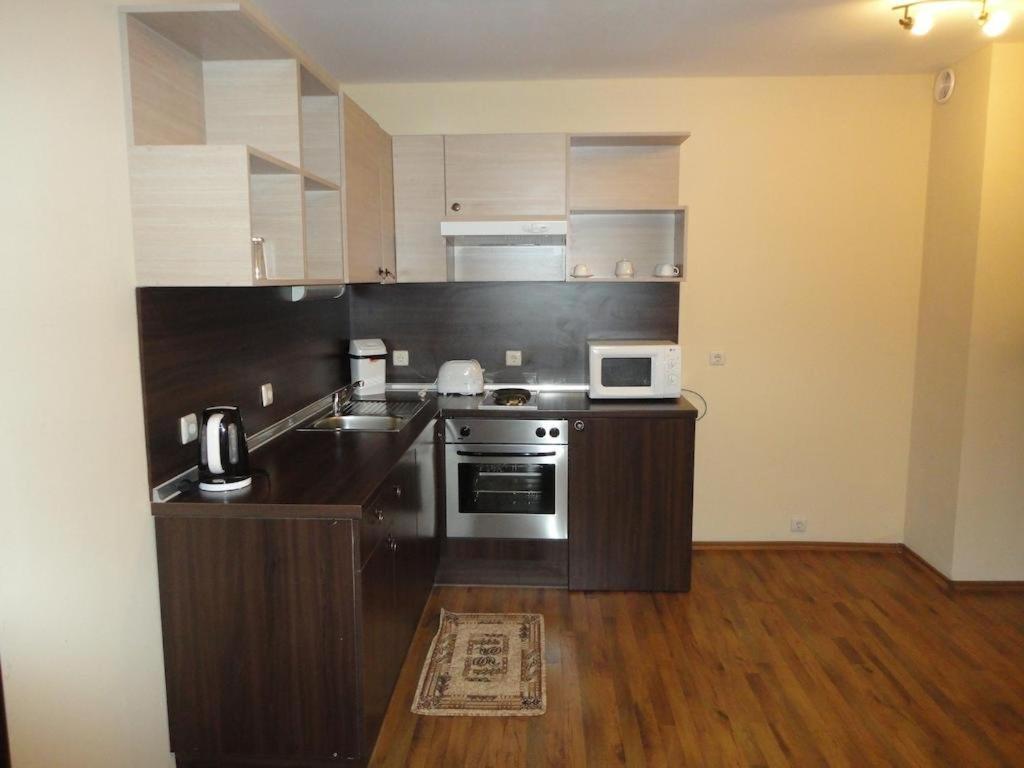 Apt Ece Bansko Near To Ski Lift Экстерьер фото